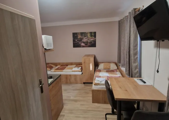 公寓式酒店 Pod Klasterem 3*