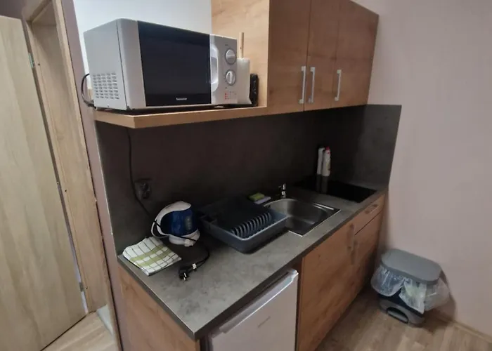 Pod Klasterem 公寓式酒店 Kladruby (Tachov)